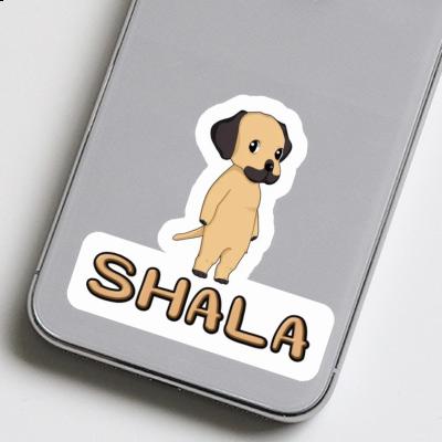 Rhodesian Ridgeback Autocollant Shala Gift package Image