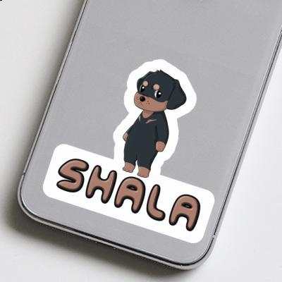 Sticker Shala Rottweiler Image