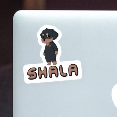 Sticker Shala Rottweiler Laptop Image