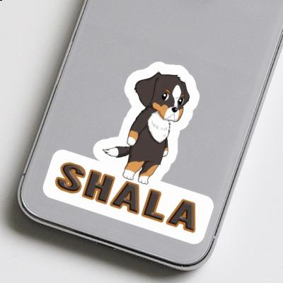 Sticker Shala Berner Sennenhund Image