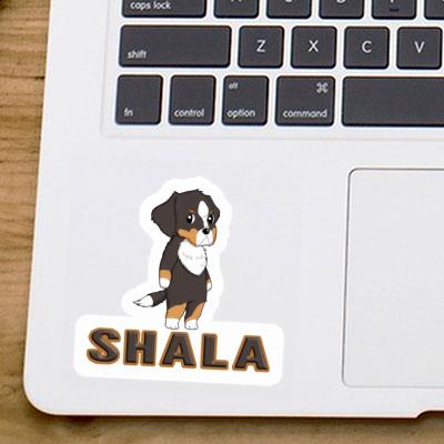 Bernese Mountain Dog Sticker Shala Laptop Image