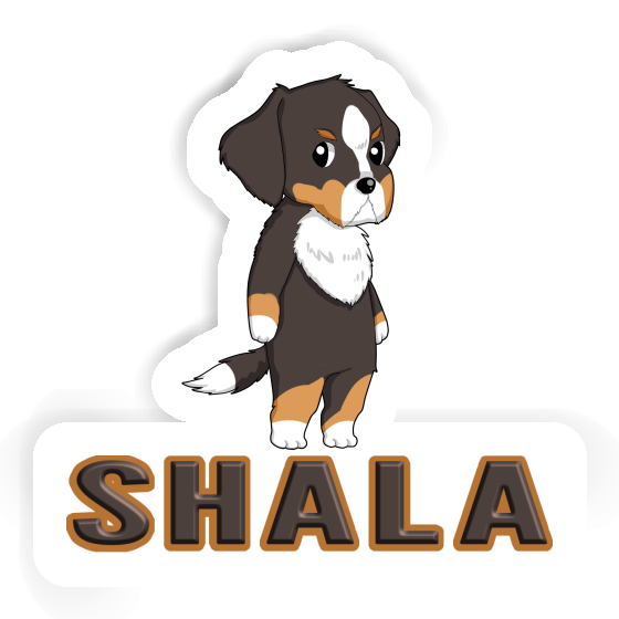 Sticker Shala Berner Sennenhund Gift package Image