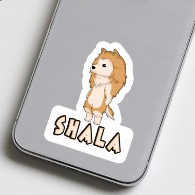 Aufkleber Shala Collie Gift package Image