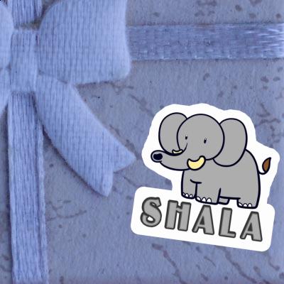 Sticker Elephant Shala Gift package Image