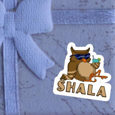 Sticker Shala Cool Owl Gift package Image