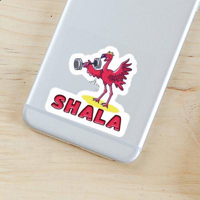 Sticker Gewichtheber Shala Image