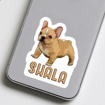 Shala Aufkleber Französische Bulldogge Gift package Image