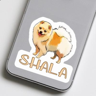 Shala Autocollant Spitz allemand Notebook Image