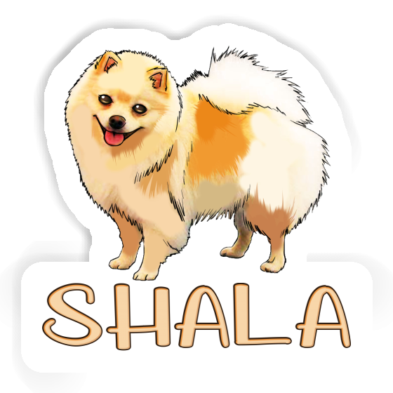 Shala Autocollant Spitz allemand Gift package Image