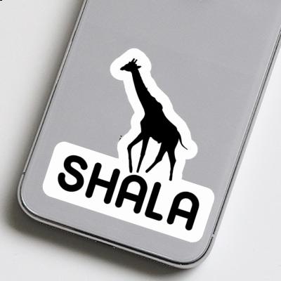 Giraffe Sticker Shala Gift package Image