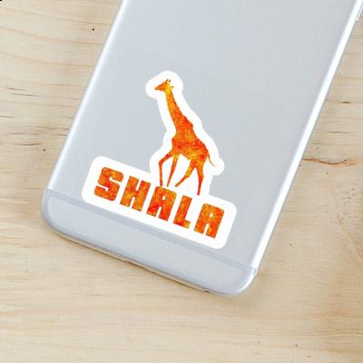 Autocollant Shala Girafe Notebook Image