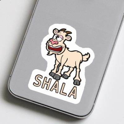 Chèvre Autocollant Shala Laptop Image