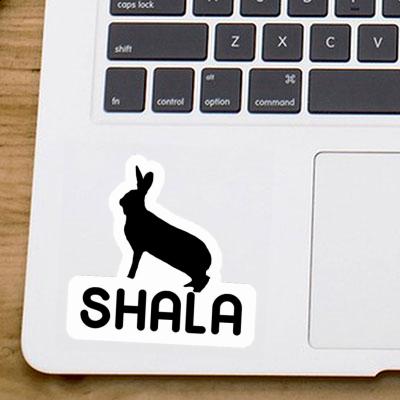 Autocollant Lapin Shala Laptop Image