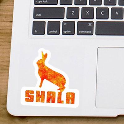 Autocollant Shala Lapin Laptop Image