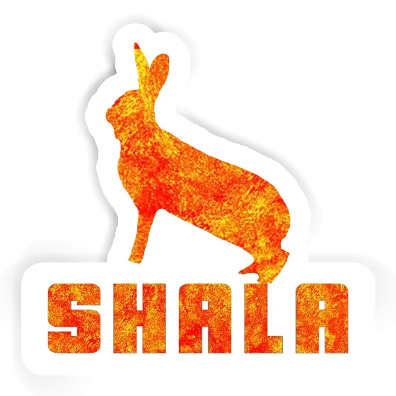 Rabbit Sticker Shala Image