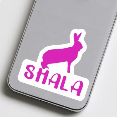 Hase Sticker Shala Image