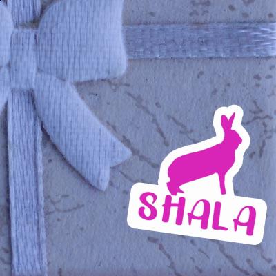 Hase Sticker Shala Notebook Image