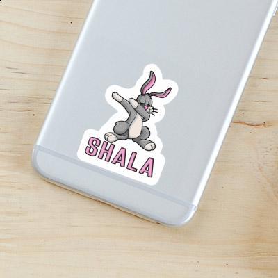 Shala Sticker Hare Gift package Image