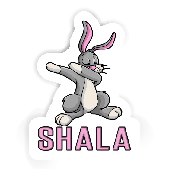 Autocollant Lapin Shala Gift package Image