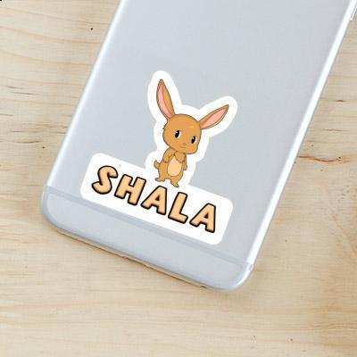 Sticker Hare Shala Gift package Image