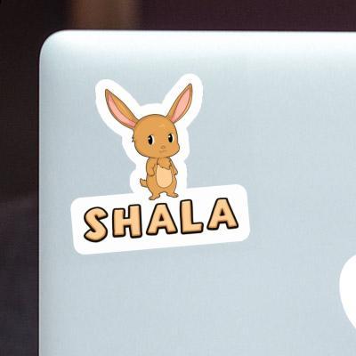 Lapin Autocollant Shala Notebook Image