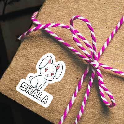 Aufkleber Hase Shala Gift package Image