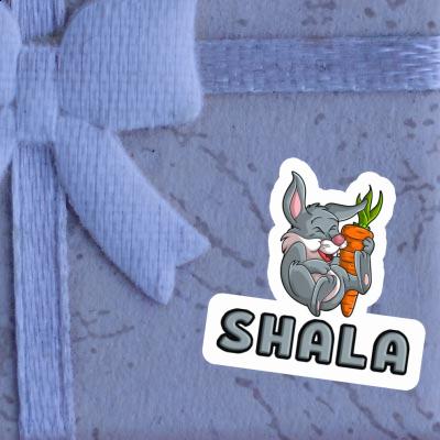 Shala Aufkleber Hase Gift package Image