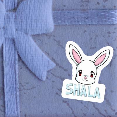 Shala Sticker Hare Image