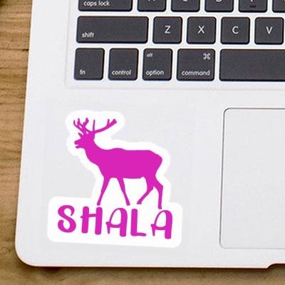 Sticker Deer Shala Image