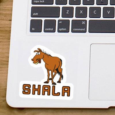 Shala Autocollant Cheval Gift package Image