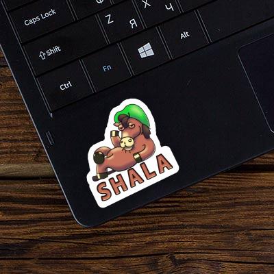 Shala Sticker Lying horse Notebook Image