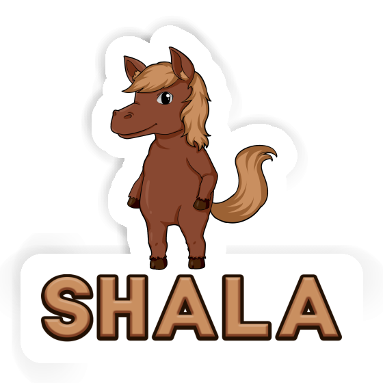 Sticker Shala Horse Gift package Image