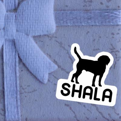 Autocollant Chien Shala Gift package Image