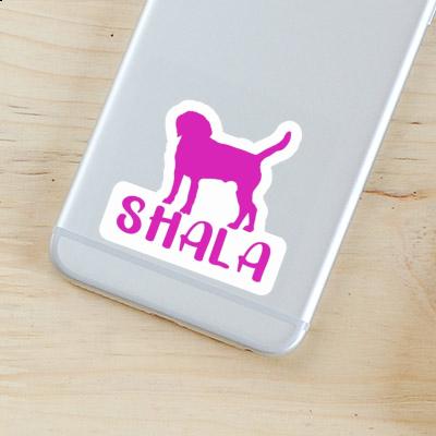 Sticker Shala Hund Gift package Image