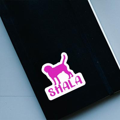 Sticker Shala Hund Gift package Image