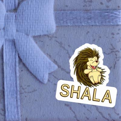 Hedgehog Sticker Shala Image