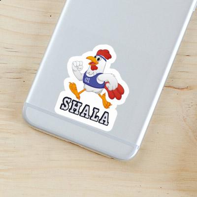 Sticker Chicken Shala Gift package Image