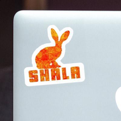 Rabbit Sticker Shala Image