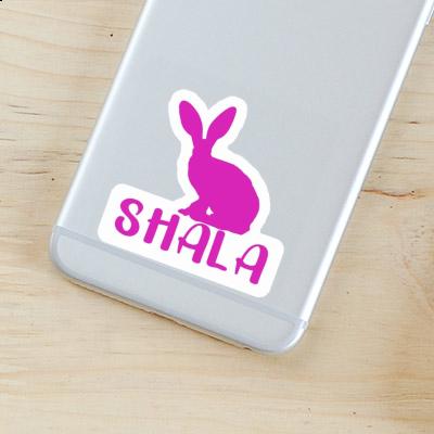 Rabbit Sticker Shala Image