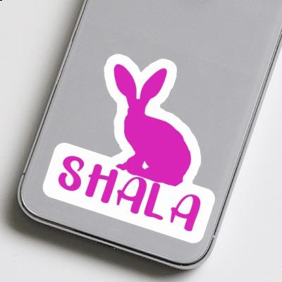 Sticker Rabbit Shala Gift package Image