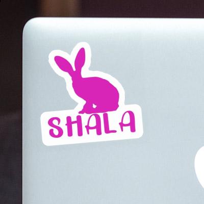 Shala Autocollant Lapin Gift package Image