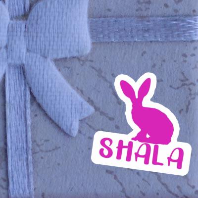 Rabbit Sticker Shala Gift package Image