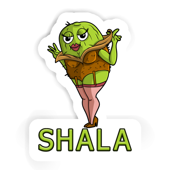 Kiwi Sticker Shala Gift package Image