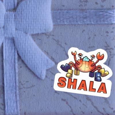 Shala Sticker Crab Laptop Image