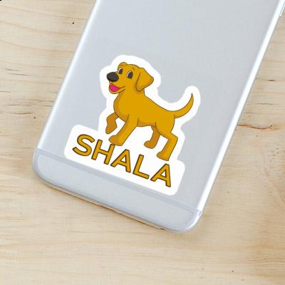 Shala Autocollant Chien Image