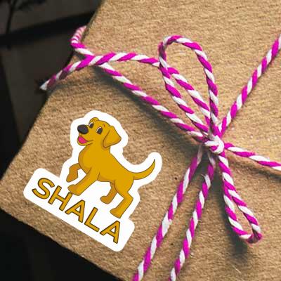 Shala Autocollant Chien Gift package Image