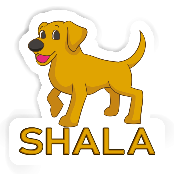 Labrador Aufkleber Shala Gift package Image