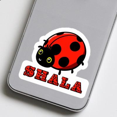 Sticker Ladybug Shala Image