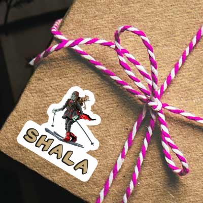 Telemarker Sticker Shala Gift package Image