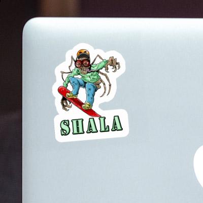 Shala Sticker Freerider Gift package Image